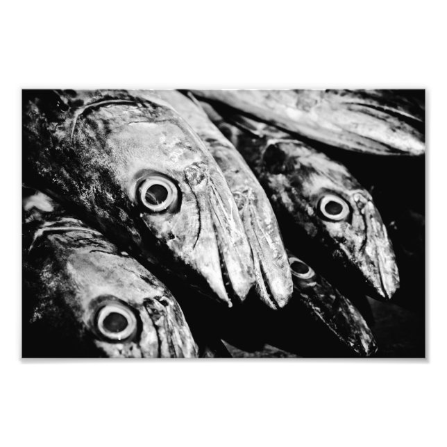 Foto quatro olhos (Frente)