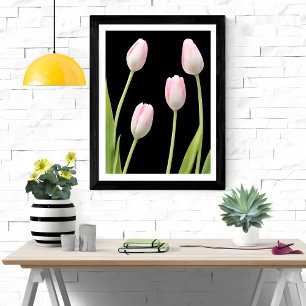 Foto Quatro Tulipas Rosa em Preto