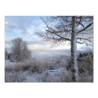 Foto Queda em Jackson Hole, WY