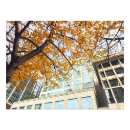 Foto Queda na cidade