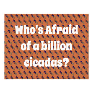 Foto Quem tem medo de um bilhão de Cicadas?