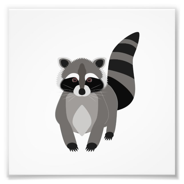 Foto Raccoon Rascal (Frente)