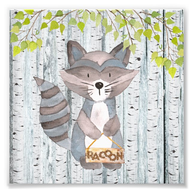 Foto Racoon Woodland Friends - Ilustração Watercolor (Frente)