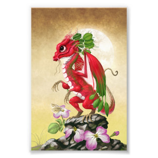 Foto Radish Dragon 4x6 Impressão