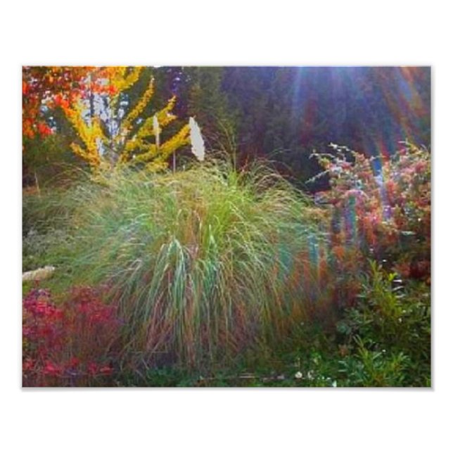 Foto Raios Sol Ligeiros (Frente)