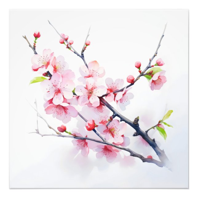 Foto Ramificação de Flores de Cereja Rosa (Frente)