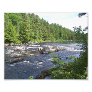 Foto Ramo do leste Penobscot