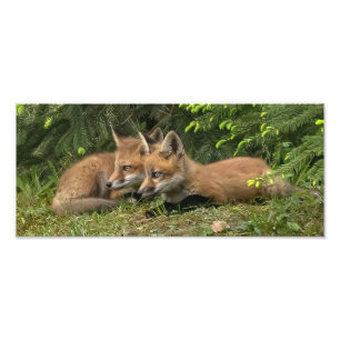 Foto Rapox Kits Pals