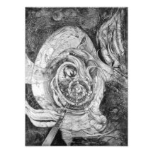 RAPTURA ESPIRAL 2