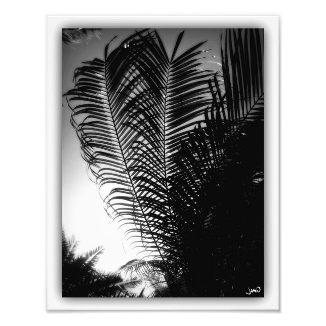 Foto Raspadores do céu (Frente)