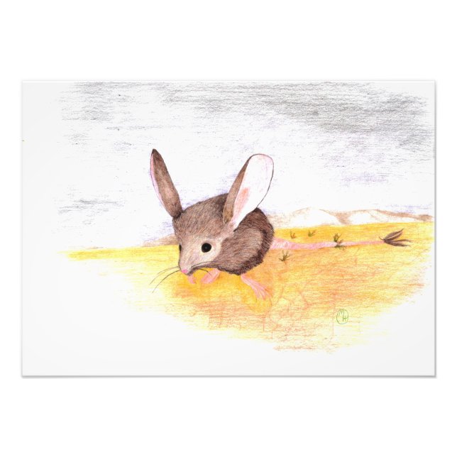 Foto Rato Seco (Frente)