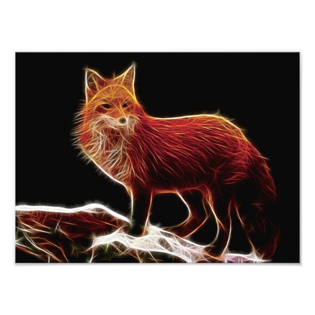 Foto Red Fox Fractal (Frente)