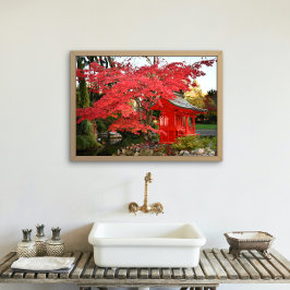 Foto Red Japan Maple e Garden Shrine