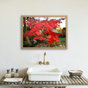 Foto Red Japan Maple e Garden Shrine