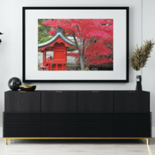 Foto Red Japonês Mapeou Folhas e Tea House