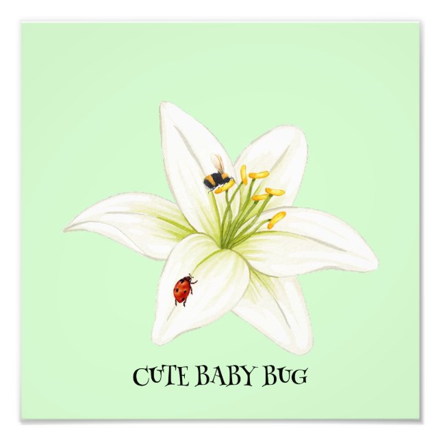 Foto Red Ladybug cor-de-rosa Lily Flower (Frente)