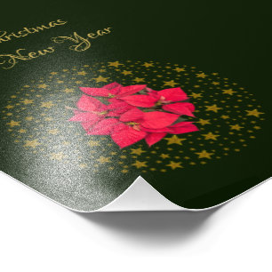 Foto Red Poinsettia Plant on glitter starstarry green s