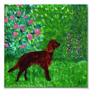 Foto Red Setter in the Garden Dog Art