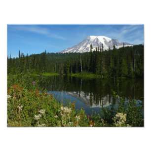 Foto Reflexo do Lago Monte Rainier com Flores Silvestre