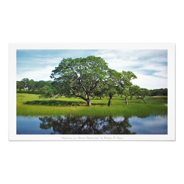 Foto "Reflexões de uma Terra Maravilha Florestal", Deco (Frente)