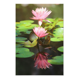 Foto Reflexões Gloriosas