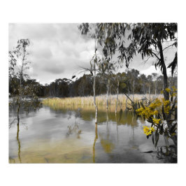 Foto Reflexões Por Baixo Do Céu Da Cinza