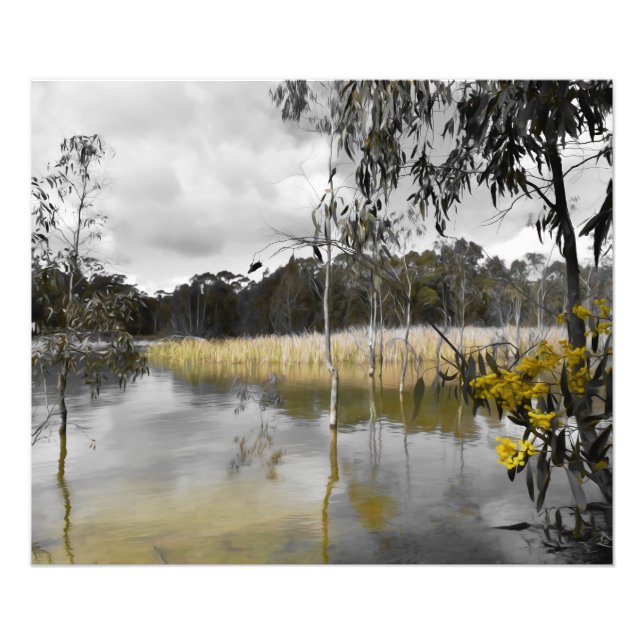 Foto Reflexões Por Baixo Do Céu Da Cinza (Frente)