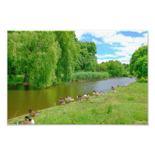 Foto Regent Park, Impressão de Londres