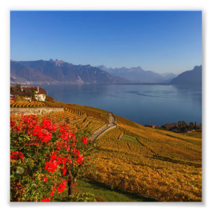 Foto Região de Lavaux, Vaud, suiça