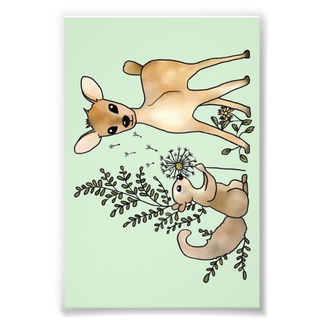 Foto Reh und Eichhörnchen  (Frente)