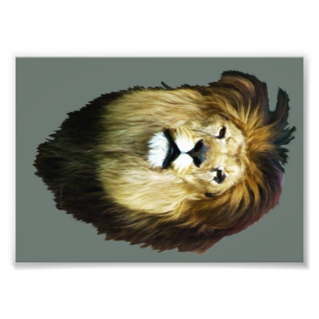 Foto Rei Imperfeito (Frente)