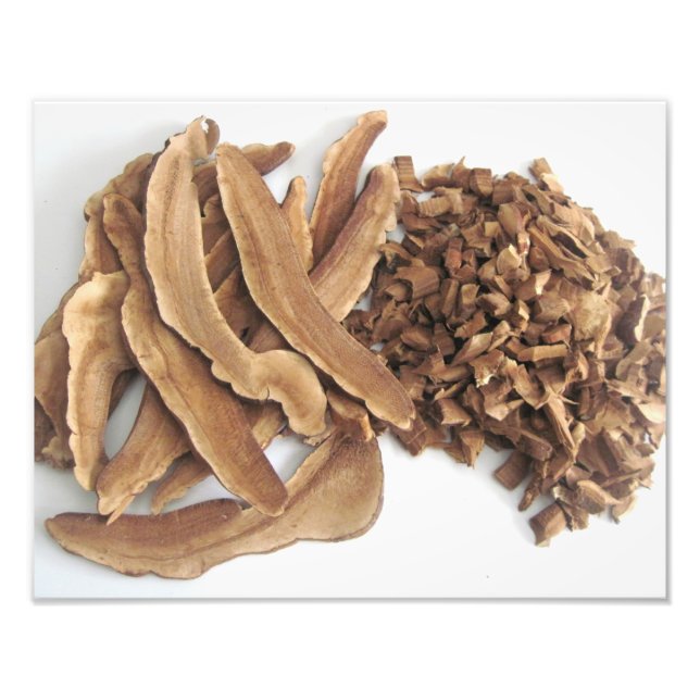 Foto Reishi Mushroom Photo Impressão (Frente)