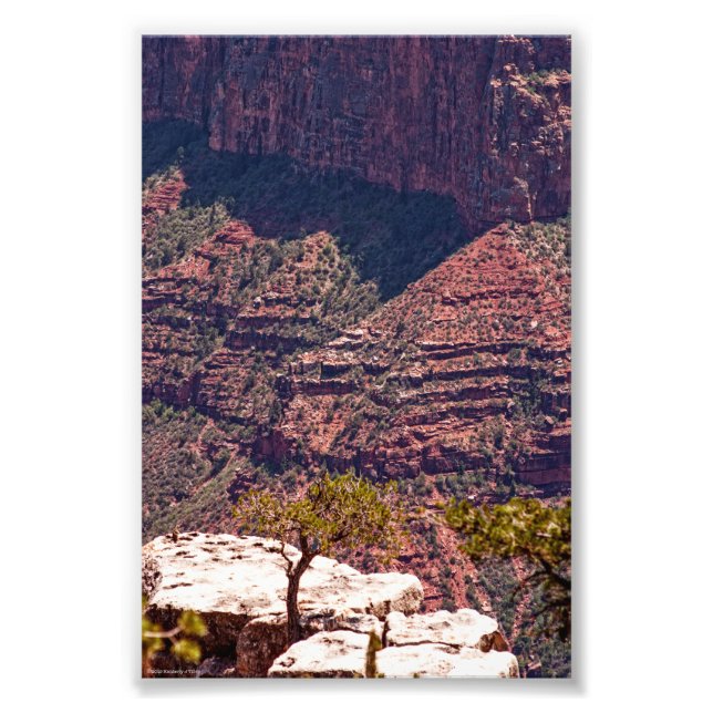 Foto Relógios Rafinescos (Frente)