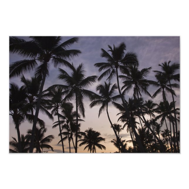 Foto República Dominicana, Península de Samana, Las 2 (Frente)