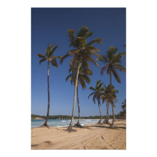 Foto República Dominicana, Região de Punta Cana, El