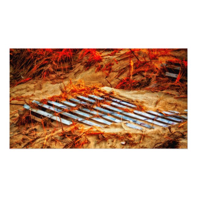 Foto Retornando A Praia (Frente)