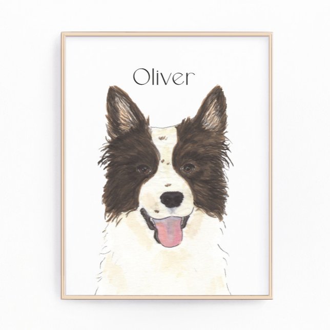 Foto Retrato Collie de Borda Personalizada (Criador carregado)
