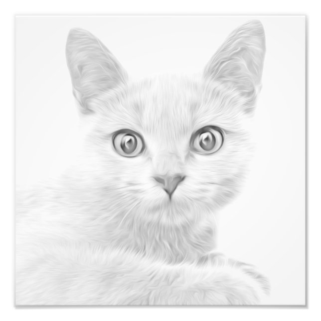 Foto Retrato de Gatinho SUPER-CUTE (Frente)