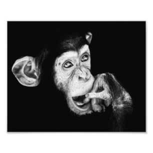 Foto Retrato de um chimpanzé do pensador
