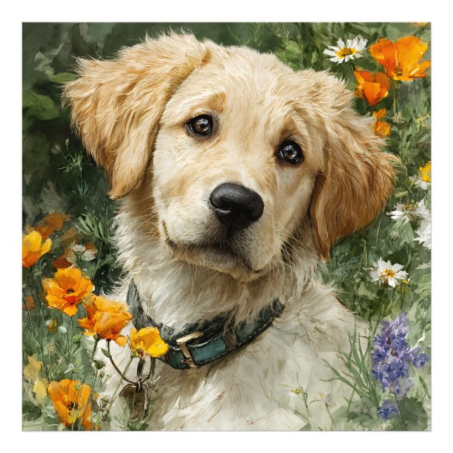 Foto Retrato do Cachorrinho Dourado (Frente)