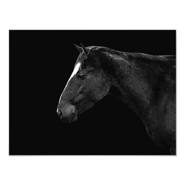 Foto Retrato do cavalo (Frente)