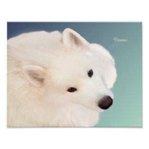 Foto Retrato do Samoyed; 14" x 11", cetim de papel de