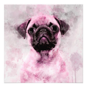 Foto Retrato em Aquarela do Cão Pug Rosa 02