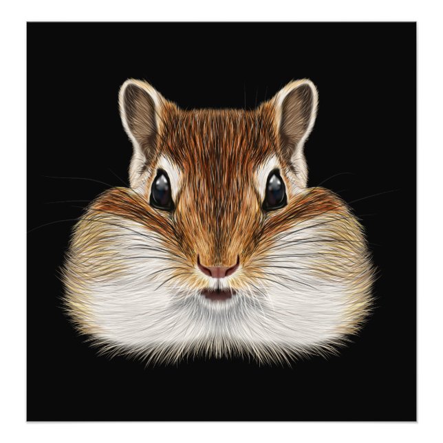 Foto Retrato ilustrado de Chipmunk. (Frente)