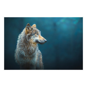Foto Retrato lateral de um lobo-Cinza
