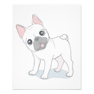 Foto Retrato para Bulldog Francês Pão