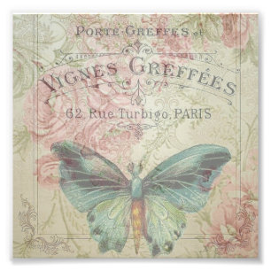 Foto retro,chique,vintage,country rustic,florais,b