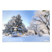Rime Frost em Yorkton SK