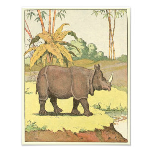 Foto Rinoceronte no furo molhando ilustrado