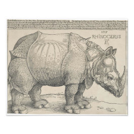Foto Rinocerontes, Woodcut por Albrecht Durer
